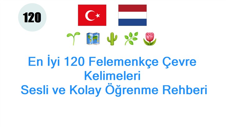 En İyi 120 Felemenkçe Çevre Kelimeleri: Sesli ve Kolay Öğrenme Rehberi